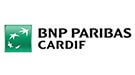 logo_bnp-min.png